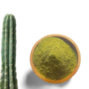 Buy San Pedro Powder