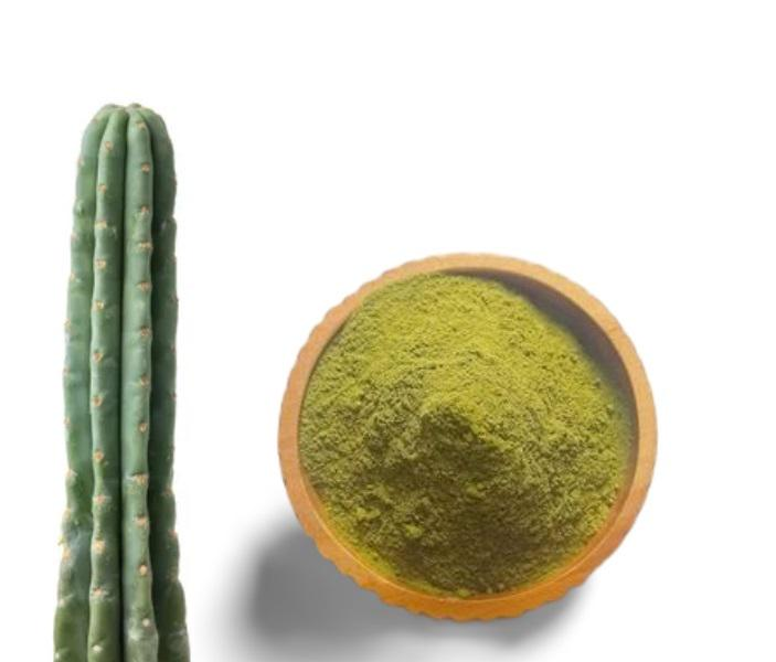 Buy San Pedro Powder Buy San Pedro Powder